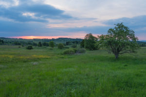 Landscape, meadow, sunrise, spring, Oberelsbach, Lange Rhön, Rhön, Bavaria, Germany Landscape, meadow, sunrise, spring, Oberelsbach, Lange Rhön, Rhön, Bavaria, Germany