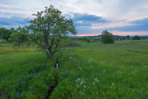 Landscape, meadow, sunrise, spring, Oberelsbach, Lange Rhön, Rhön, Bavaria, Germany Landscape, meadow, sunrise, spring, Oberelsbach, Lange Rhön, Rhön, Bavaria, Germany