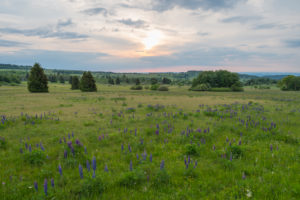 Landscape, meadow, sunrise, spring, Oberelsbach, Lange Rhön, Rhön, Bavaria, Germany Landscape, meadow, sunrise, spring, Oberelsbach, Lange Rhön, Rhön, Bavaria, Germany