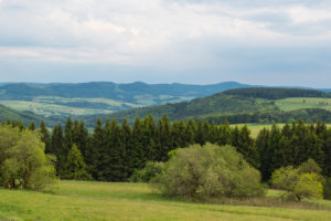 Landscape, forest, meadow, evening, spring, Wasserkuppe, Gersfeld, Rhön, Hesse, Germany Landscape, forest, meadow, evening, spring, Wasserkuppe, Gersfeld, Rhön, Hesse, Germany