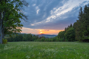 Forest, meadow, sunset, spring, Reulbach, Ehrenberg, Rhön, Hesse, Germany Forest, meadow, sunset, spring, Reulbach, Ehrenberg, Rhön, Hesse, Germany
