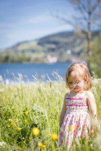 Little girl picks flowers on a meadow on the Schliersee in spring Little girl picks flowers on a meadow on the Schliersee in spring