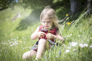 Child in grass picking flowers Child in grass picking flowers