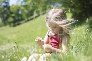 Child in grass picking flowers Child in grass picking flowers