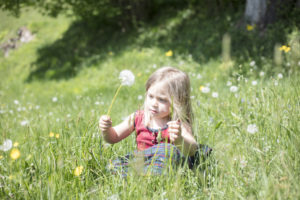 Child in grass with blowball Child in grass with blowball