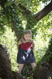 Child climbing on apple tree Child climbing on apple tree