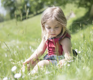 Child in grass picking flowers Child in grass picking flowers