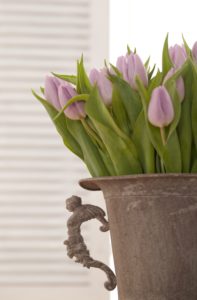 Tulpen, Strauß, Blumenstrauß, Blüten, Blätter, Tulpen, Strauß, Blumenstrauß, Blüten, Blätter,
