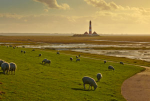 Germany, Schleswig-Holstein, North Frisia, Eiderstedt, Westerhever Lighthouse Germany, Schleswig-Holstein, North Frisia, Eiderstedt, Westerhever Lighthouse
