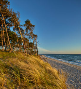 Germany, Mecklenburg Western Pomerania, Darß, western beach of Darß, evening mood Germany, Mecklenburg Western Pomerania, Darß, western beach of Darß, evening mood