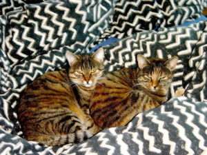 Bildagentur Mauritius Images Duschkabine Frau Portrat