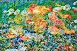Flowers, art Flowers, art