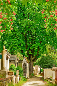 Pere Lachaise cemetery, Paris, France Pere Lachaise cemetery, Paris, France