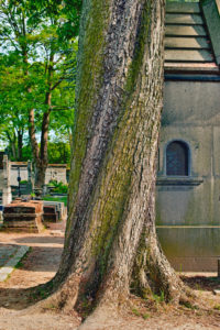 Pere Lachaise cemetery, Paris, France Pere Lachaise cemetery, Paris, France