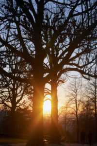 Sunset in winter Sunset in winter