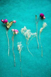 Trockenblumen auf türkiser Fläche, Trockenblumen auf türkiser Fläche,