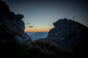 Sunrise on Hoher Burgstall Mountain, Stubai Alps, Tyrol, Austria Sunrise on Hoher Burgstall Mountain, Stubai Alps, Tyrol, Austria