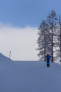 Tourer on the way up. Larch trees. Blue sky. Clouds. Tourer on the way up. Larch trees. Blue sky. Clouds.