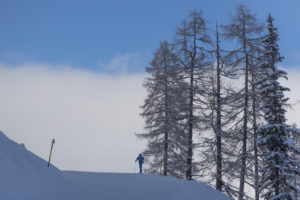 Tourer on the way up. Larch trees. Blue sky. Clouds. Tourer on the way up. Larch trees. Blue sky. Clouds.