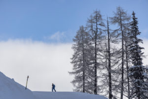Tourer on the way up. Larch trees. Blue sky. Clouds. Tourer on the way up. Larch trees. Blue sky. Clouds.