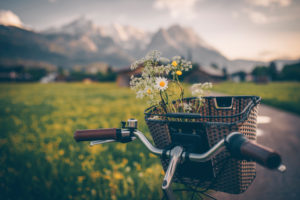 Bicycle stands on the side of a path with freshly picked wild flowers in the basket Bicycle stands on the side of a path with freshly picked wild flowers in the basket