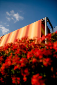 Balkonblumen mit Markise vor blauem Sommerhimmel Balkonblumen mit Markise vor blauem Sommerhimmel