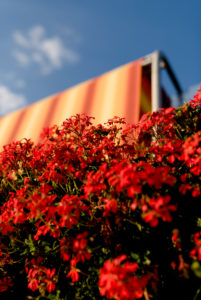 Balcony flowers with awning against a blue summer sky Balcony flowers with awning against a blue summer sky