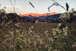 Wooden hut with red glowing Wetterstein in the background Wooden hut with red glowing Wetterstein in the background
