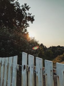 white garden fence, sun is setting between trees white garden fence, sun is setting between trees