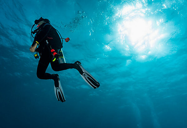 Spearfishing in Azores