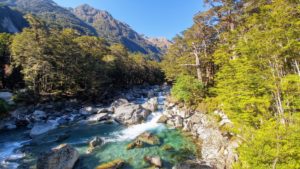 Crystal clear river in the forest on the Routeburn track in New Zealand Crystal clear river in the forest on the Routeburn track in New Zealand