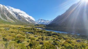 Snowy mountains in the background, green bushes in the foreground on the Hooker Valley Track in New Zealand Snowy mountains in the background, green bushes in the foreground on the Hooker Valley Track in New Zealand