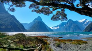 Mountain landscape behind trees and lake in Milford Sound, New Zealand Mountain landscape behind trees and lake in Milford Sound, New Zealand