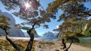 Mountain landscape behind trees and lake in Milford Sound, New Zealand Mountain landscape behind trees and lake in Milford Sound, New Zealand