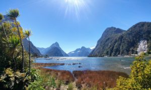 Mountains by the lake in Milford Sound in New Zealand Mountains by the lake in Milford Sound in New Zealand