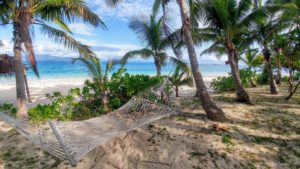 Hammock on the beach, surrounded by palm trees, Fiji Hammock on the beach, surrounded by palm trees, Fiji