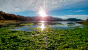 Sun above mountains on the horizon is shining on Puerto Arias in the foreground which is partly covered with green algae, Argentina Sun above mountains on the horizon is shining on Puerto Arias in the foreground which is partly covered with green algae, Argentina