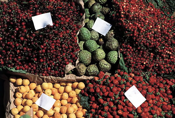 Regional exhibition of Madeira's Annona on Faial 4 https://img.mauritius-images.com/BERT/cprev/01635916.jpg/save_as_name/mauritius%20images%20-%2001635916%20-%20Portugal%2C%20island%20Madeira%2C%20market%20stall%2C%20fruits%2C%20Europe%2C%20island.jpg