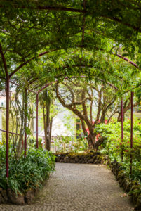 Portugal, Azores, Terceira Island, Angra do Heroismo, Jardim Publico, public garden trellis Portugal, Azores, Terceira Island, Angra do Heroismo, Jardim Publico, public garden trellis