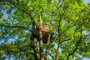 Sweden, Vastmanland, Vasteras, Hotell Hackspett, tree house hotel by artist Mikael Genberg Sweden, Vastmanland, Vasteras, Hotell Hackspett, tree house hotel by artist Mikael Genberg