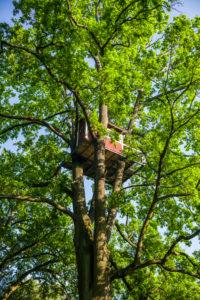 Sweden, Vastmanland, Vasteras, Hotell Hackspett, tree house hotel by artist Mikael Genberg Sweden, Vastmanland, Vasteras, Hotell Hackspett, tree house hotel by artist Mikael Genberg