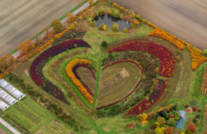 Aerial view, heart in the Golden October, indian Summer, gardening shop at Markfelder Weg, Waltrop, Ruhr area, North Rhine-Westphalia, Germany, Europe Aerial view, heart in the Golden October, indian Summer, gardening shop at Markfelder Weg, Waltrop, Ruhr area, North Rhine-Westphalia, Germany, Europe