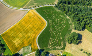 Corn labyrinth with Russian football emblem in Cappenberg, farm Lünemann, Selm, Ruhr area, North Rhine-Westphalia, Germany Corn labyrinth with Russian football emblem in Cappenberg, farm Lünemann, Selm, Ruhr area, North Rhine-Westphalia, Germany