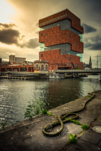 Europa, Belgien, Antwerpen, Stadt, Museum, Museum am Strom, Eilandje Europa, Belgien, Antwerpen, Stadt, Museum, Museum am Strom, Eilandje