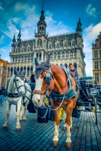 Europa, Belgien, Brüssel,Stadt, Innenstadt, Großer Platz, Stadtmuseum Europa, Belgien, Brüssel,Stadt, Innenstadt, Großer Platz, Stadtmuseum