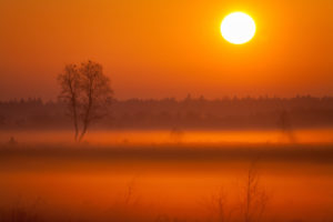 Sunrise over the heath landscape with birch Sunrise over the heath landscape with birch