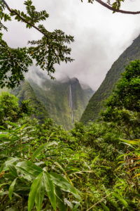 Waterfall, Cascade Blanche, 640 m, Cirque de la Salazie volcanic basin, Reunion Island, France, Africa, Indian Ocean Waterfall, Cascade Blanche, 640 m, Cirque de la Salazie volcanic basin, Reunion Island, France, Africa, Indian Ocean