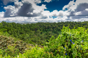 Aussicht auf die Stadt Curepipe, Vulkankrater Trou aux Cerfs, Curepipe, Mauritius, Afrika, Indischer Ozean Aussicht auf die Stadt Curepipe, Vulkankrater Trou aux Cerfs, Curepipe, Mauritius, Afrika, Indischer Ozean
