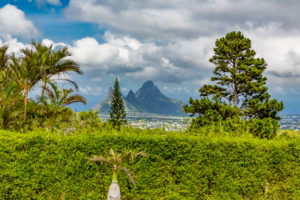 Aussicht auf die Berge Mont du Rempart und die Stadt Vacoas, Vulkankrater Trou aux Cerfs, Curepipe, Mauritius, Afrika, Indischer Ozean Aussicht auf die Berge Mont du Rempart und die Stadt Vacoas, Vulkankrater Trou aux Cerfs, Curepipe, Mauritius, Afrika, Indischer Ozean