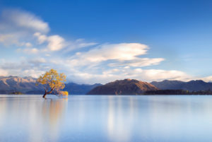 Long exposure on Lake Wanaka, Otago, New Zealand, Wanaka tree, mountain range Long exposure on Lake Wanaka, Otago, New Zealand, Wanaka tree, mountain range